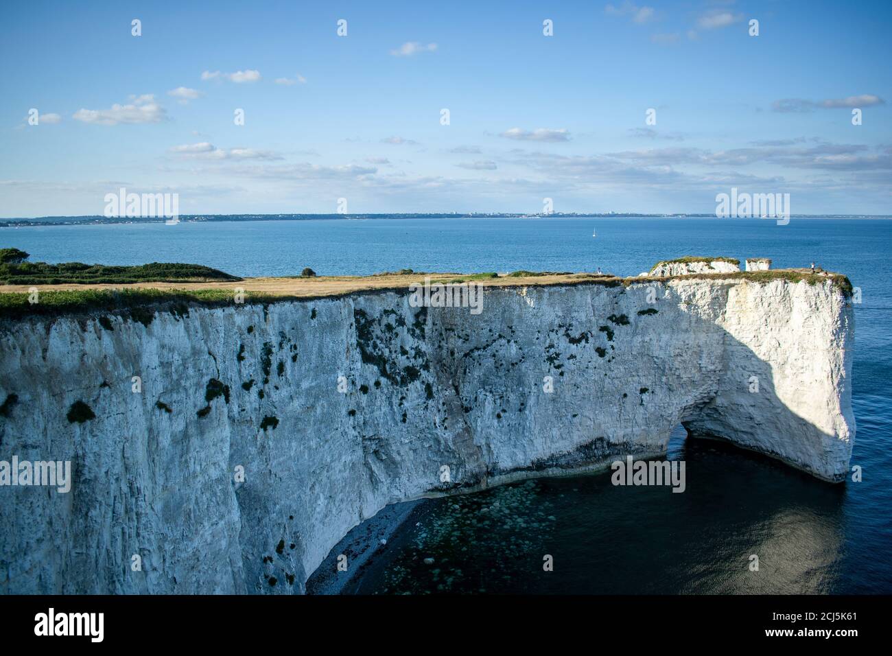Alte Harry Rocks Kreideformationen, Blick auf Handfast Point, Dorset, Südengland. Riesige Wand aus weißen Kreidefelsen mit Baumstümpfen und Höhlen, Touristen Stockfoto