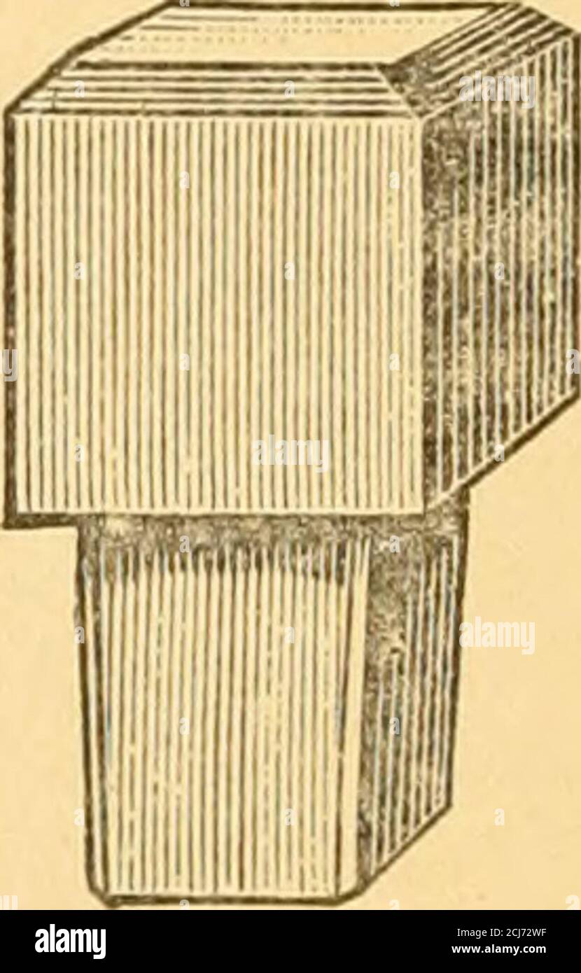 . Die Kunst des Pferdehuhlens: Ein Handbuch für die Farriere. Abb. 73.- Stahl Schärfen und blank, Stopfen Schäfte. Iiammer sichert es. Die Schwierigkeit ist, das Loch in den Schuh und den Schaft der scharfen der entsprechenden Form und Größe zu bekommen. Wenn dies getan ist, hält die scharfe ihren Platz und ist nicht schwer zu entfernen. Zu oft jedoch sind sie nicht einheitlich, und dann fällt die scharfe heraus oder manchmal kann nicht entfernt werden. Wenn die Löcher gebohrt statt gestanzt werden, ist die Passform genauer, aber das gilt nur für diejenigen mit einem runden Schaft. Ein leichter Taperist wird sowohl dem Loch als auch dem Schaft des scharfen gegeben.wie beim SCR Stockfoto