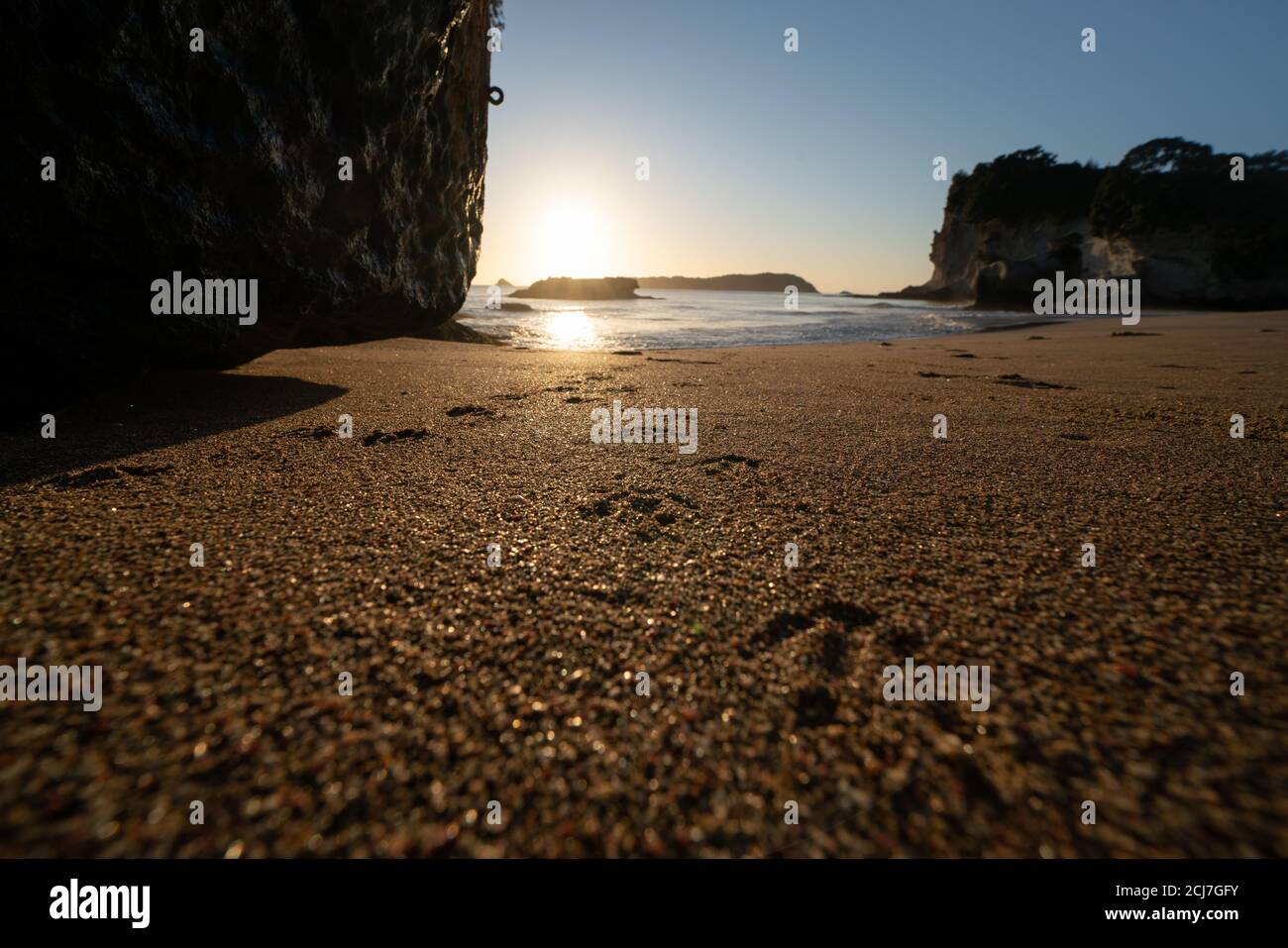 Sonnenaufgang glühen über körnigen Sand mit mit Bid footrints zum Wasser Rand in Cathedral Cove auf Coromandel Peninsula New Zealand. Stockfoto