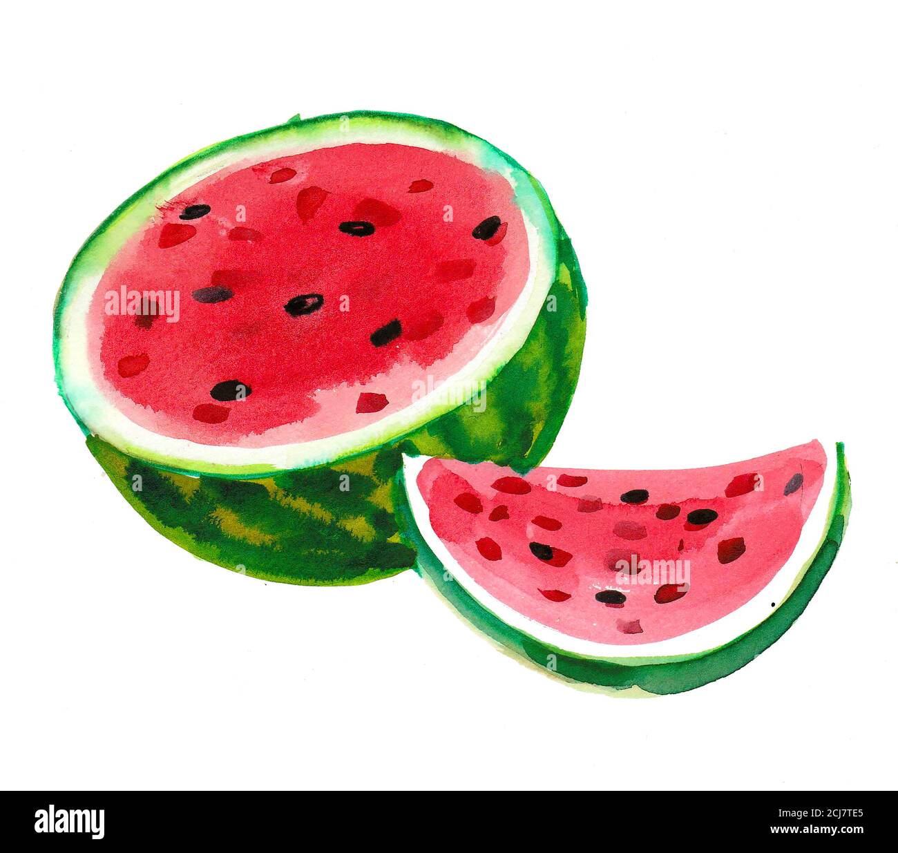 Frische, süße Wassermelonenfrucht. Aquarellmalerei Stockfoto