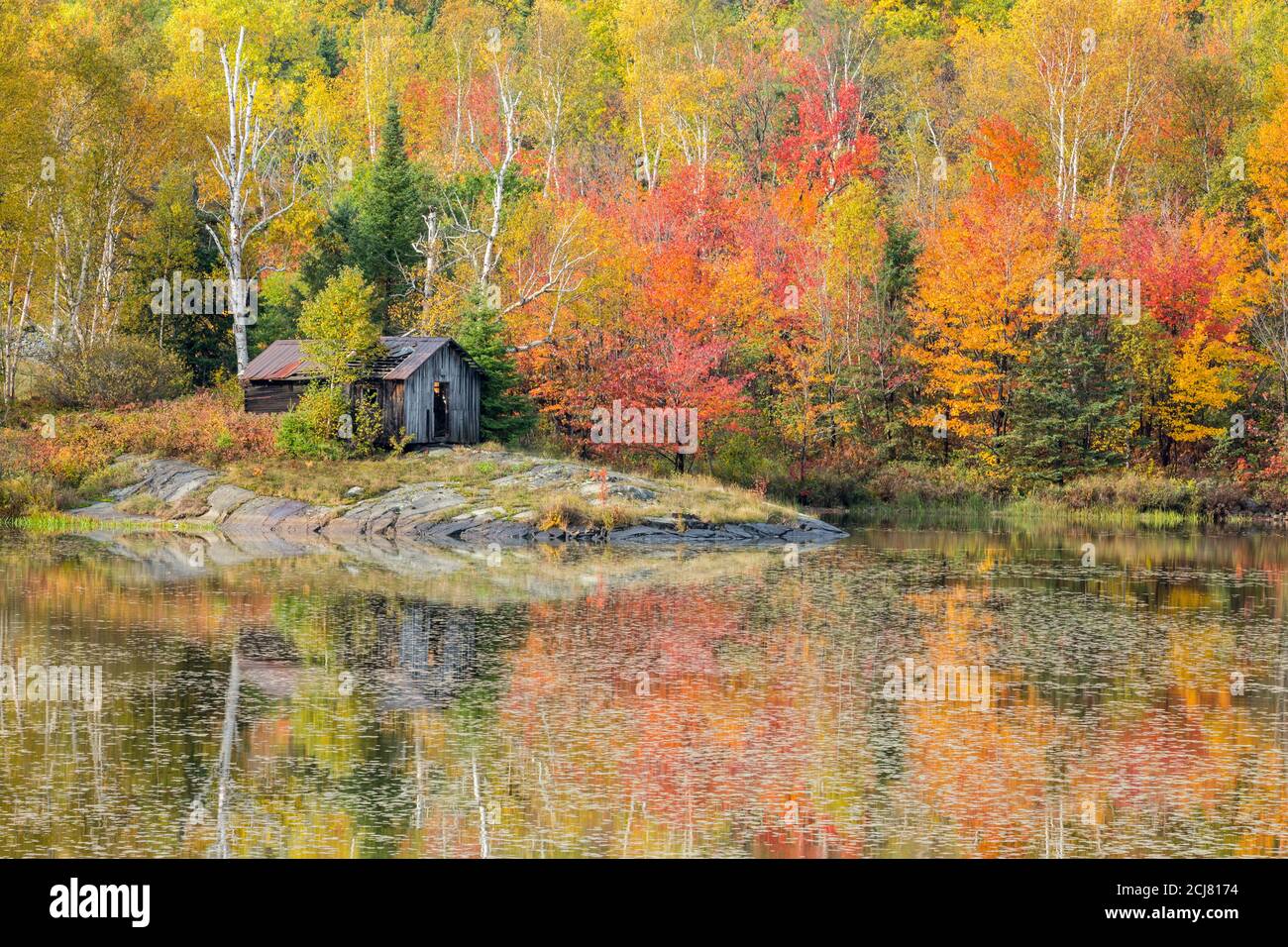 Herbstfarben spiegeln sich auf dem ruhigen Wasser des St. Pothier Lake, Whitefish, Ontario, Kanada. Stockfoto