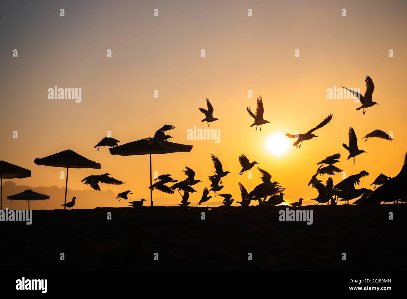 Sonnenaufgang mit Sonnenschirm und Rettungsschwimmer-Station Silhouette Stockfoto