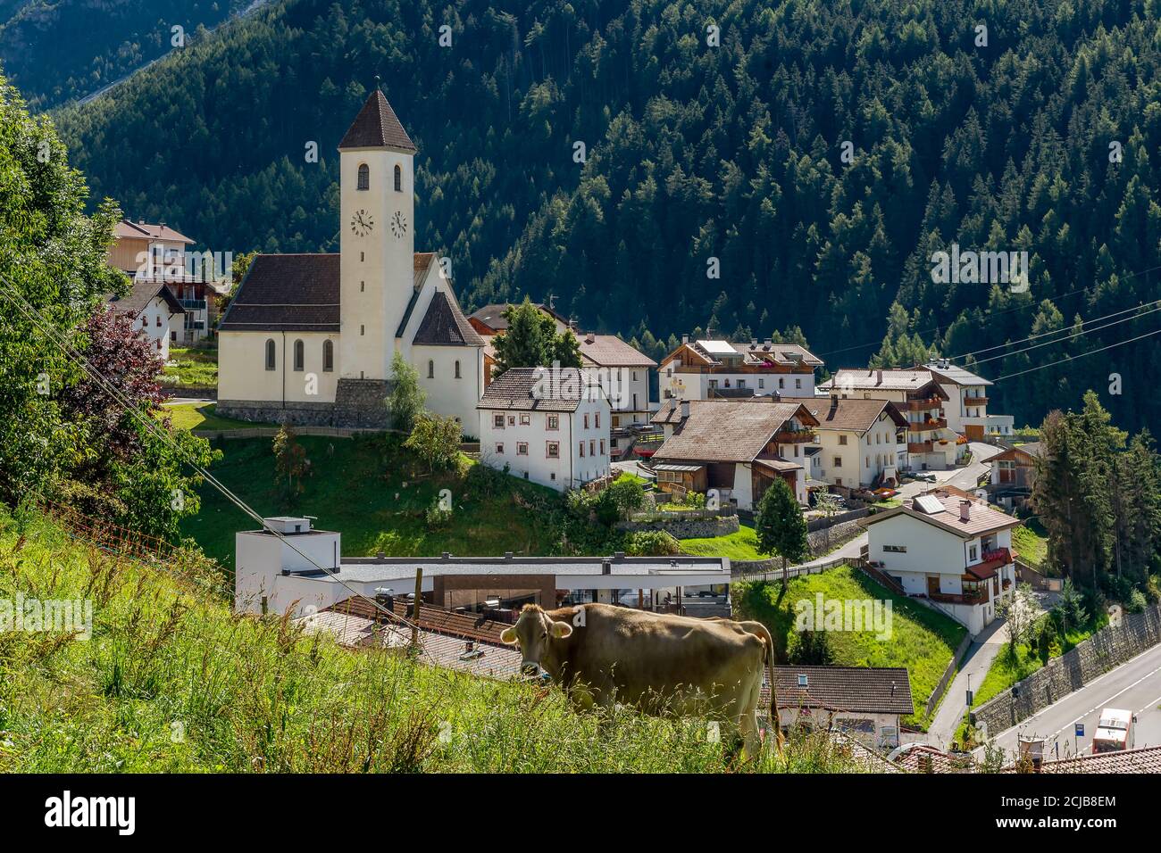 Eine Kuh grast mit dem Dorf Graun im Hintergrund, Südtirol, Italien Stockfoto