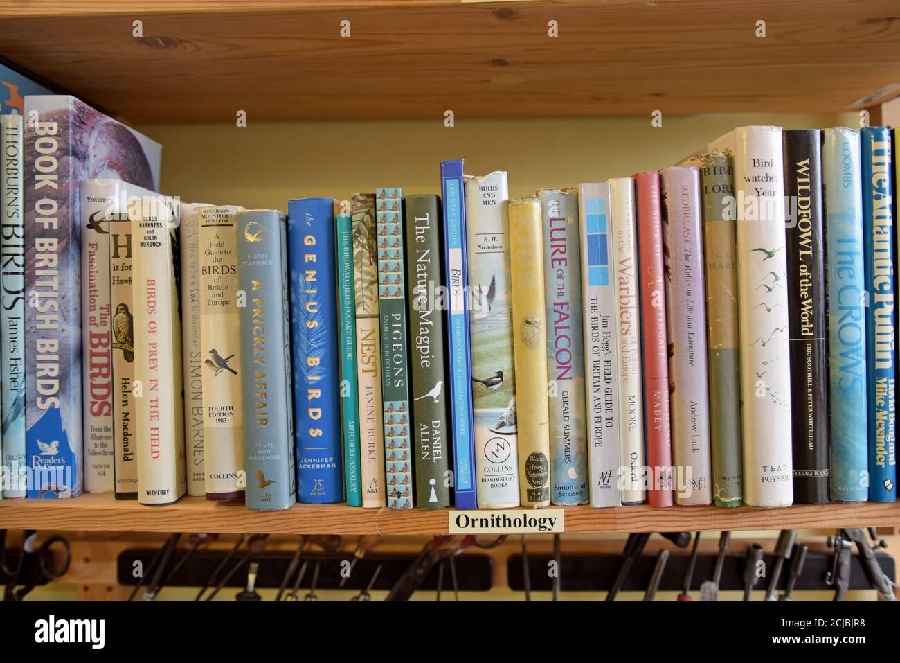 Ein Bücherregal voller gebrauchten Bücher über Vögel und Ornithologie In einem Leominster Antiquitäten Zentrum Stockfoto