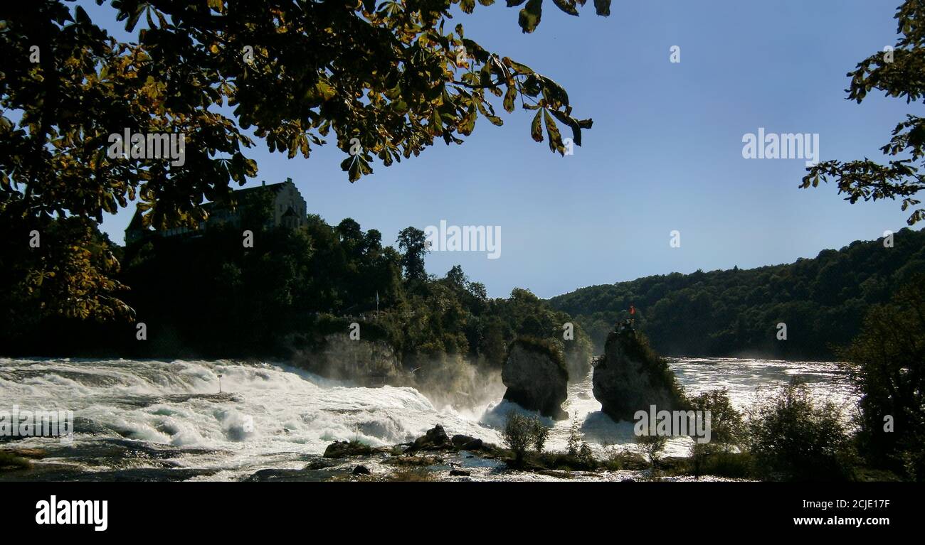 Die Rheinfälle stürzen mit ihren donnernden Wassermassen und das Schloss Laufen im Hintergrund. Stockfoto