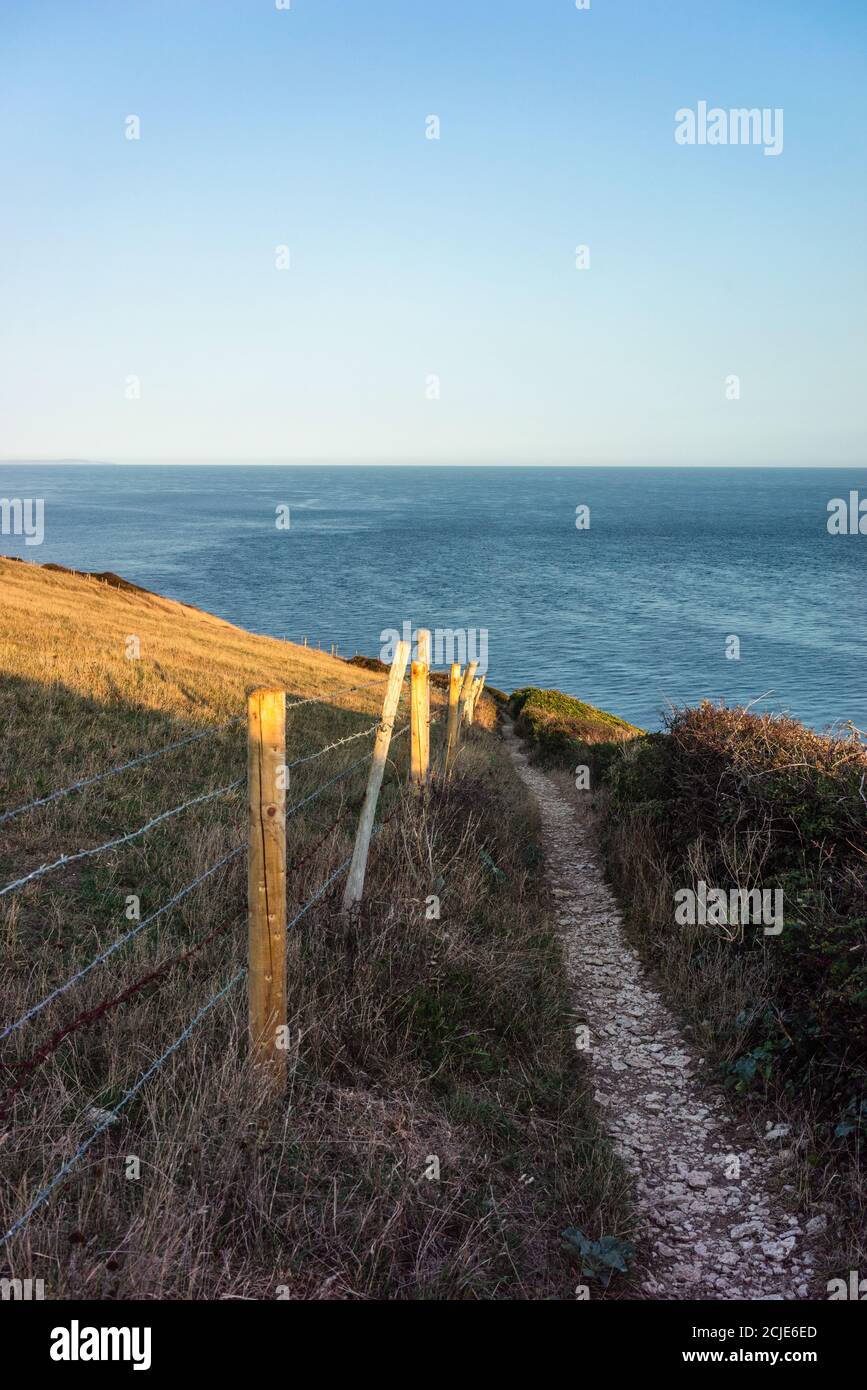 Der South West Coast Path in der Nähe von St Aldhelm's Head geht es weiter in Richtung Osten auf der Isle of Purbeck, Dorset, England, Großbritannien Stockfoto