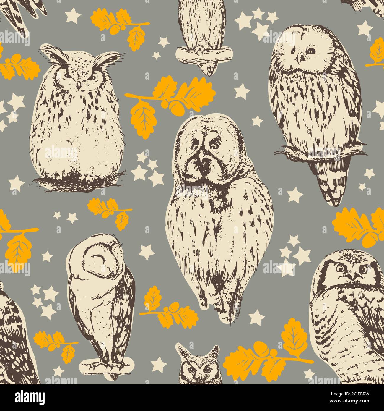 Eulen Nahtloses Muster. Vektorhintergrund. Stock Vektor
