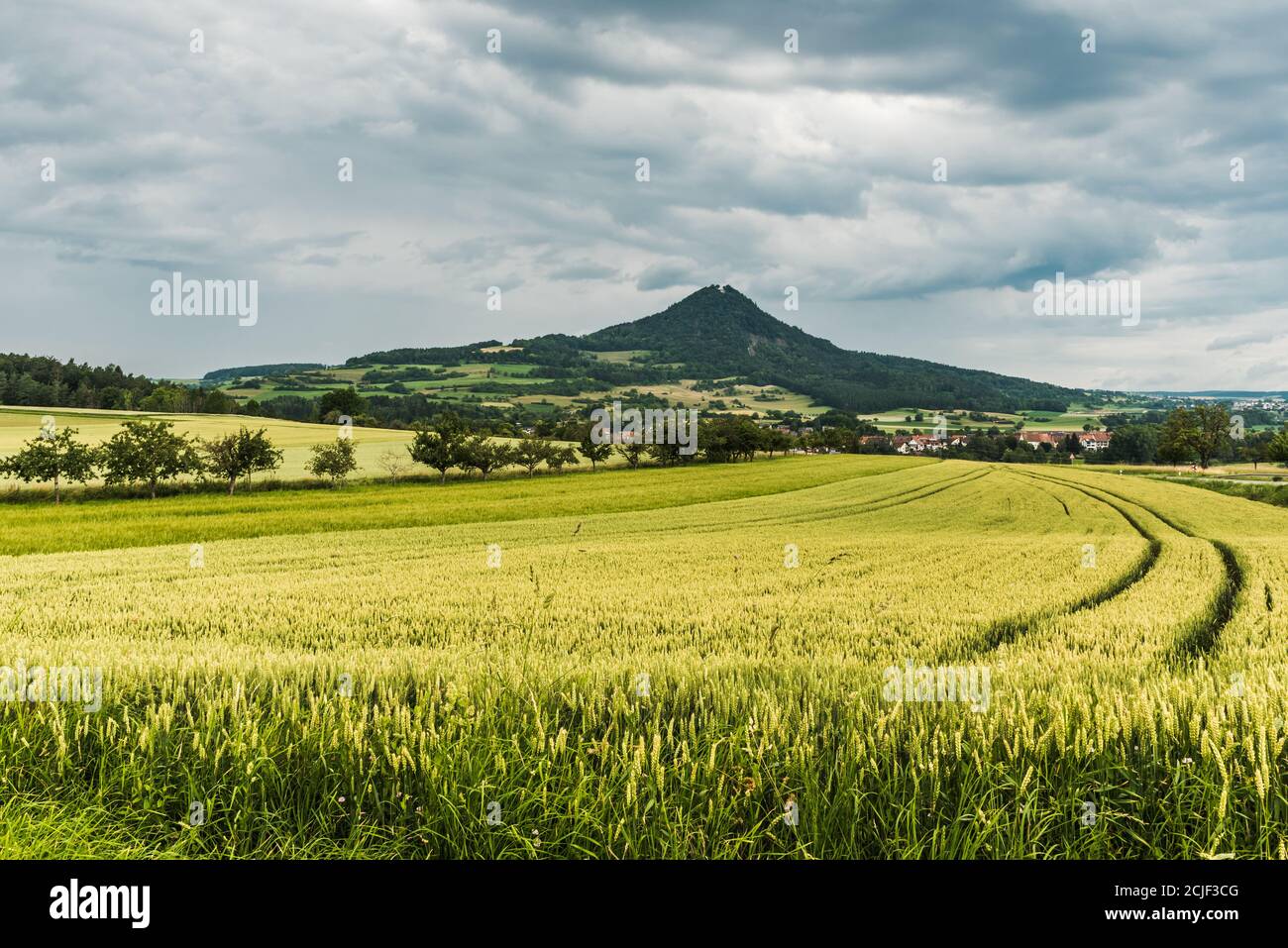 Blick über ein Weizenfeld auf den Hegauer Vulkan Hohenhewen und das Dorf Welschingen, Baden-Württemberg, Deutschland Stockfoto
