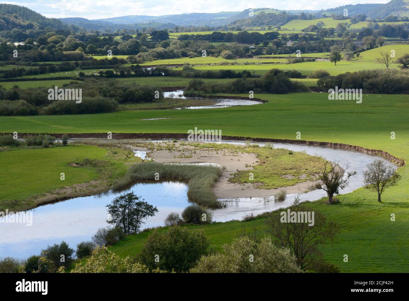 River Towy schlängelt sich durch Towy Valley durch grüne Felder Weide Carmarthenshire Wales Großbritannien Stockfoto