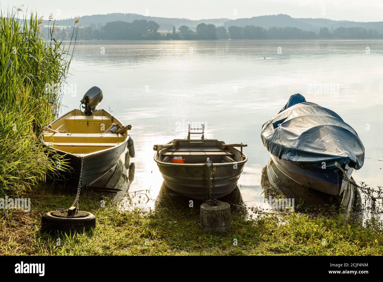 Fischerboote am Ufer der Insel Reichenau, Bodensee, Landkreis Konstanz, Baden-Württemberg, Deutschland Stockfoto