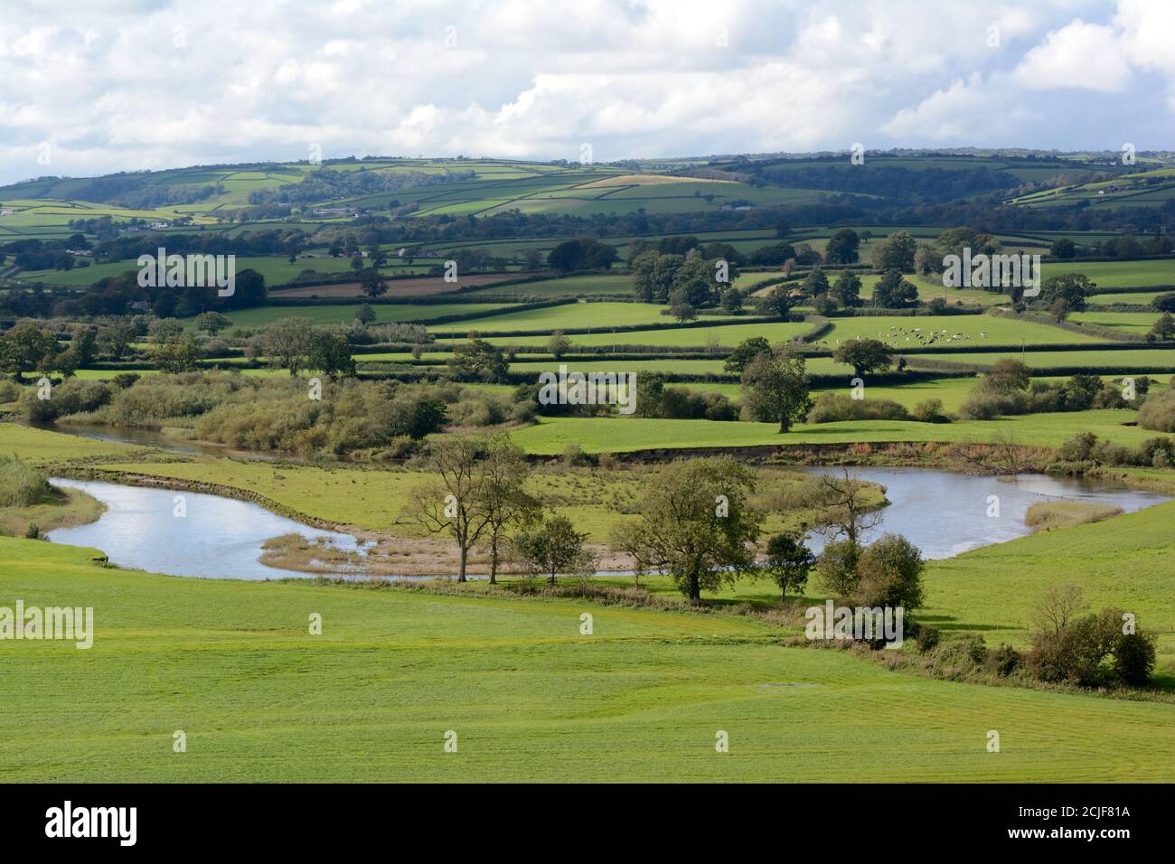 River Towy schlängelt sich durch Towy Valley durch grüne Felder Weide Carmarthenshire Wales Großbritannien Stockfoto