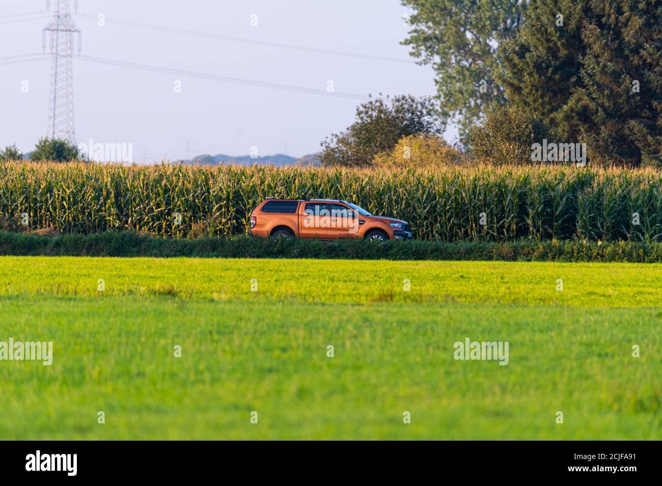 Ein Geländefahrzeug fährt durch die Felder und hinter dem Fahrzeug ist ein Maisfeld Stockfoto