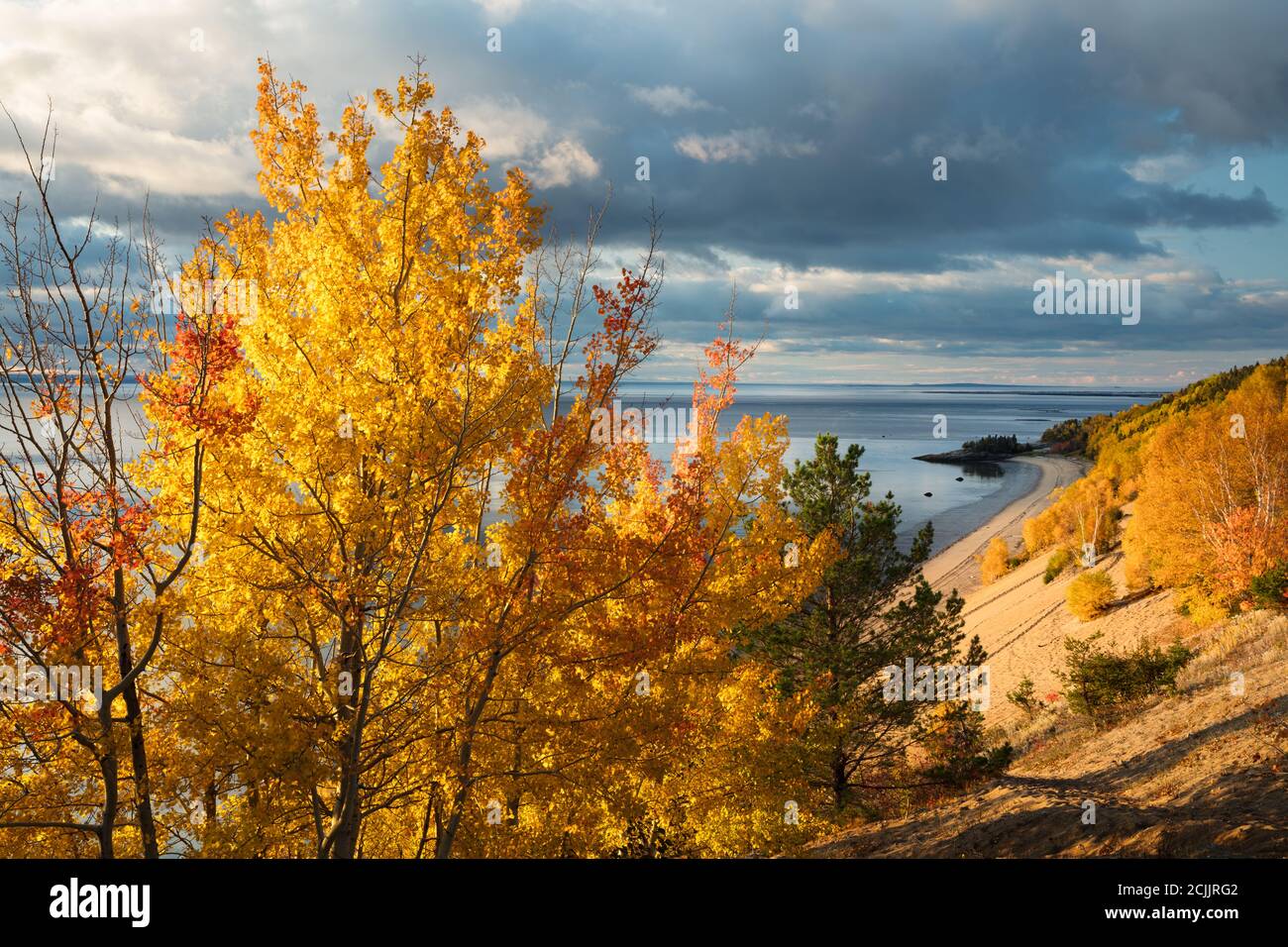 Herbstfarben am Ufer der St. Lawrence Mündung in der Nähe von Tadoussac, Quebec, Kanada Stockfoto