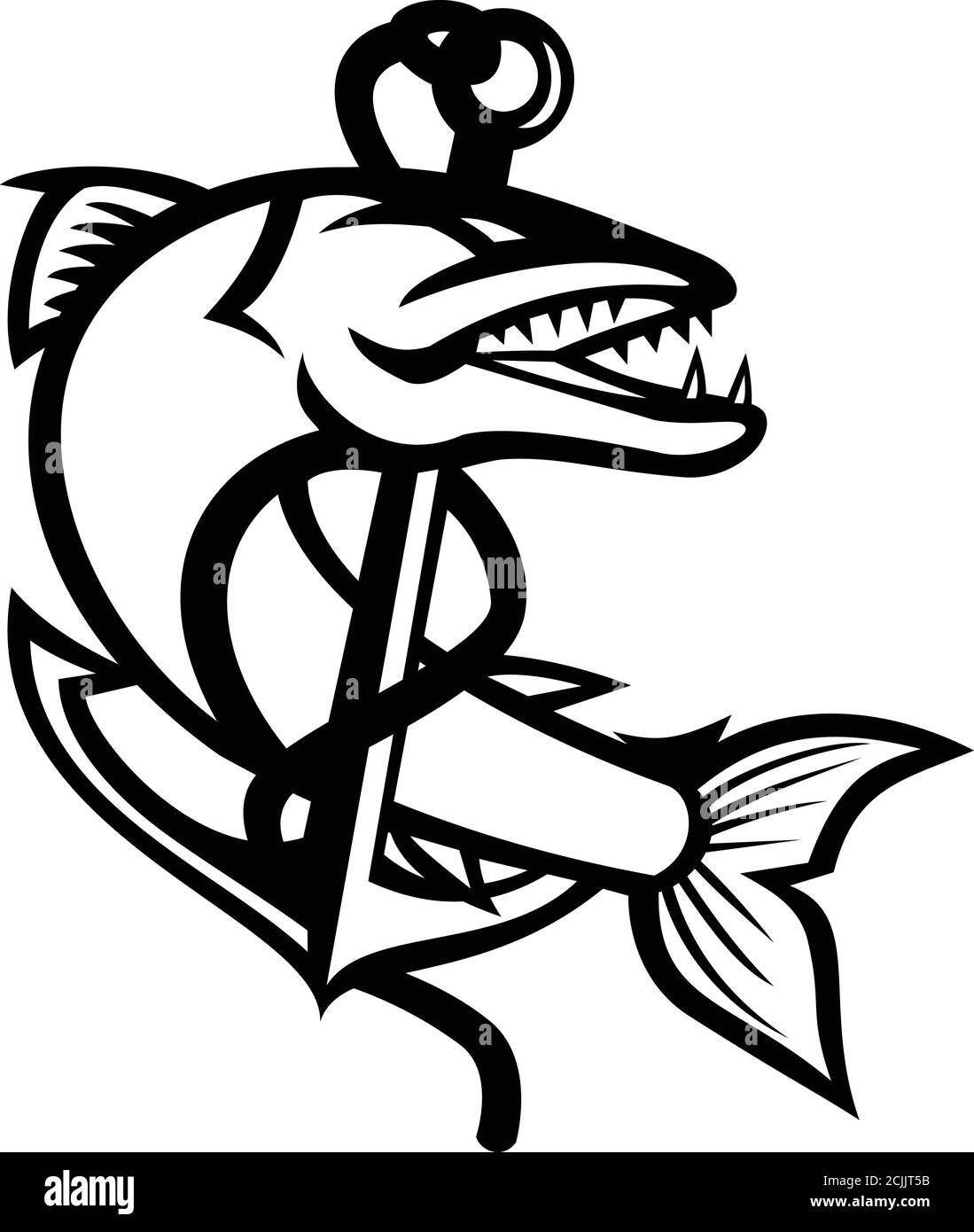 Maskottchen schwarz-weiß Illustration von großen Barracuda, ein Salzwasserfisch, der schlange-wie mit furchterregenden Aussehen und wildes Verhalten aufrollen ist Stock Vektor