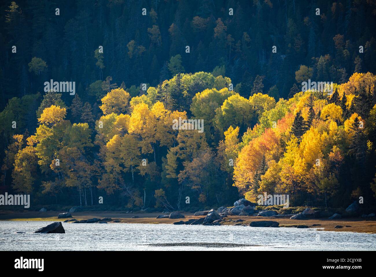 Herbstfarben in Baie-Sainte-Marguerite, Saguenay Fjord National Park, Quebec, Kanada Stockfoto