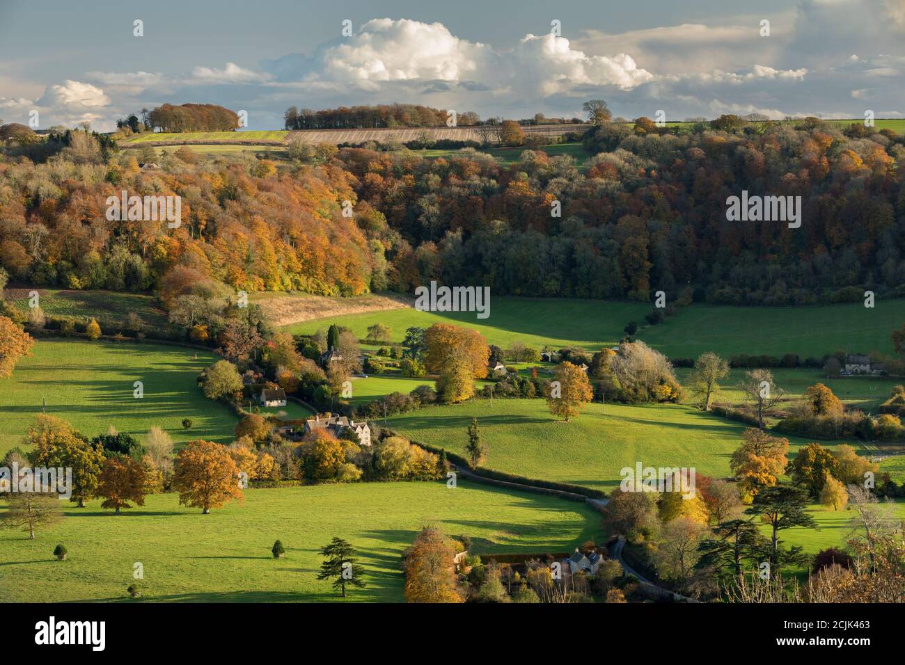 Herbstfarben in den Cotswolds bei Uley, Gloucestershire, England Stockfoto