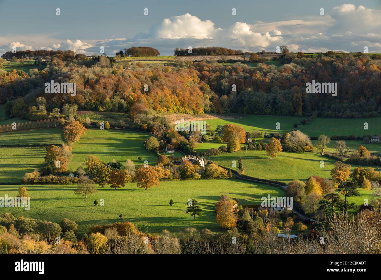 Herbstfarben in den Cotswolds bei Uley, Gloucestershire, England Stockfoto