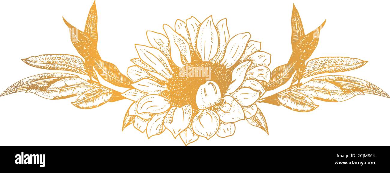 Vektor-Ornament, eine Vignette einer Sonnenblume und einige Zweige, ein Design-Element für Heißprägung, in Tinte von Hand gezeichnet Stock Vektor