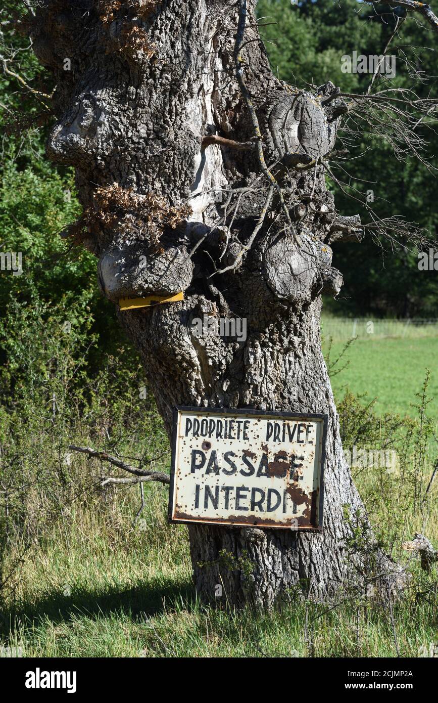 Altes Schild Privateigentum, kein Eintrag oder Keep Out Schild genagelt an einen alten knorrigen Baum Provence Frankreich Stockfoto