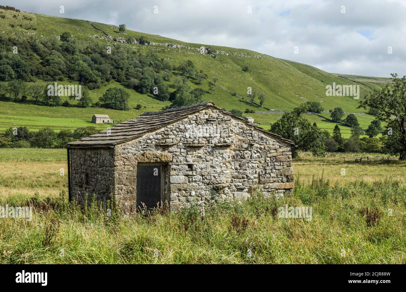Eine Wharfedale Scheune in Upper Wharfedale im Yorkshire Dales National Park, in der Nähe des schönen Dorfes Buckden. Dales Scheunen tragen wirklich zur Aussicht bei Stockfoto