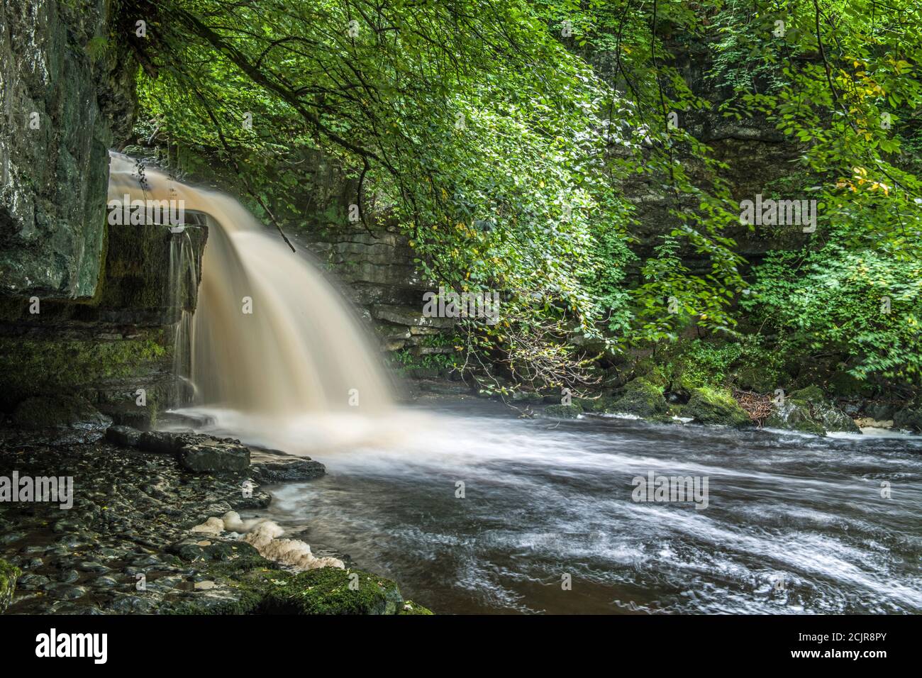 West Burton Falls in Bishopdale Yorkshire Dales National Park.sehr beliebt bei Besuchern und Touristen. September. Stockfoto