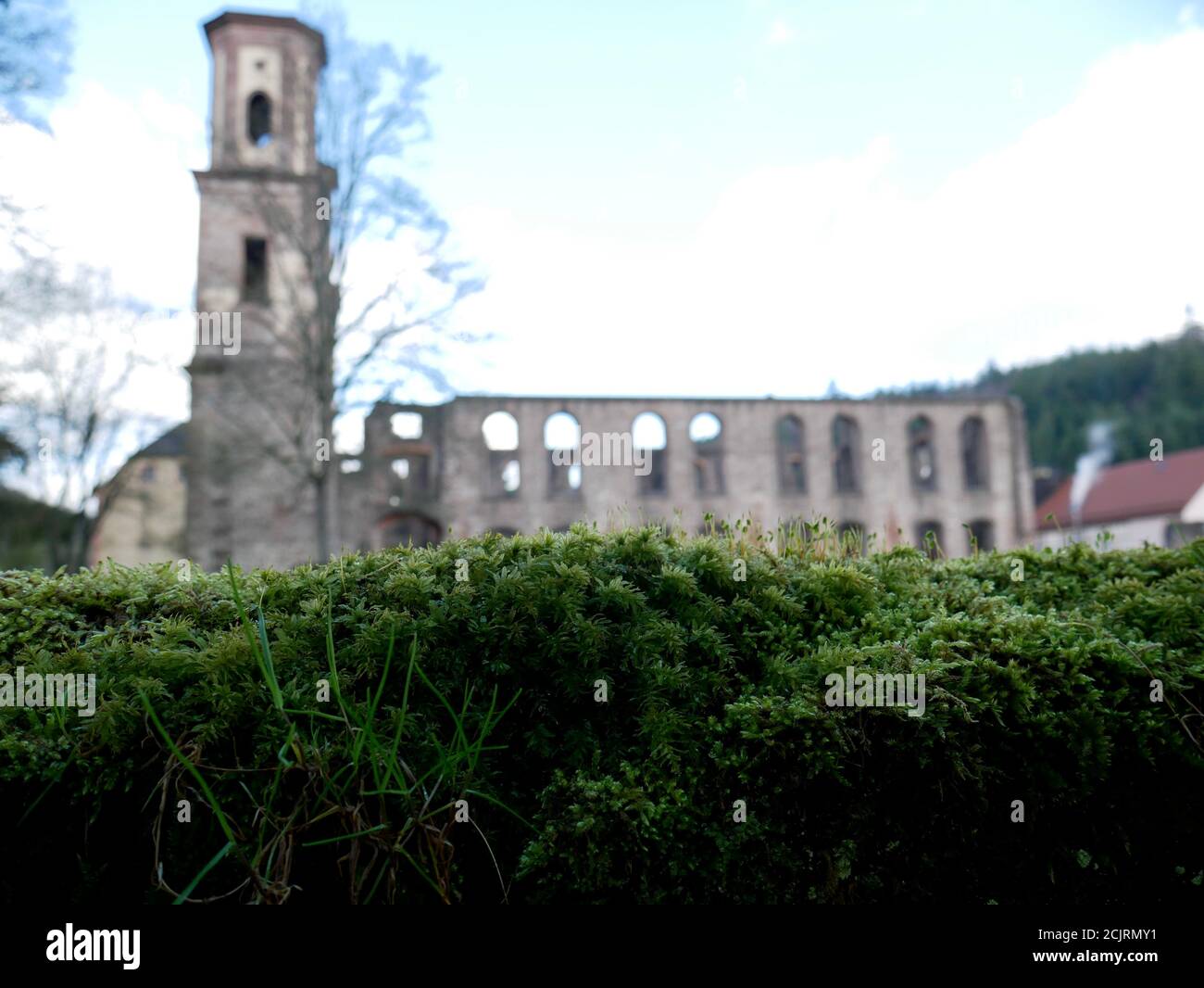Ruine einer Kirche in einem gepflegten Park bei bestem Wetter Stockfoto