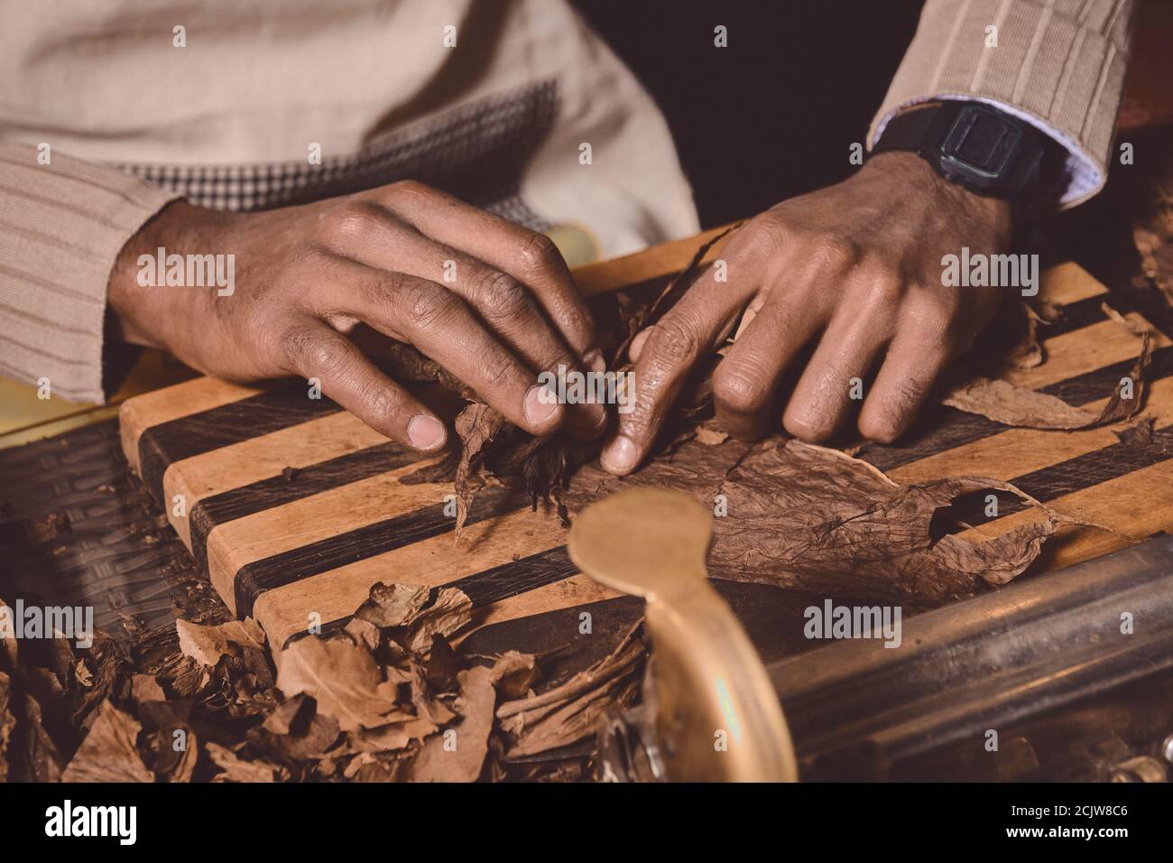 Prozess der Herstellung von traditionellen Zigarren aus Tabakblättern mit Händen mit einem mechanischen Gerät und Presse. Tabakblätter für die Herstellung von Zigarren. Nahaufnahme Stockfoto