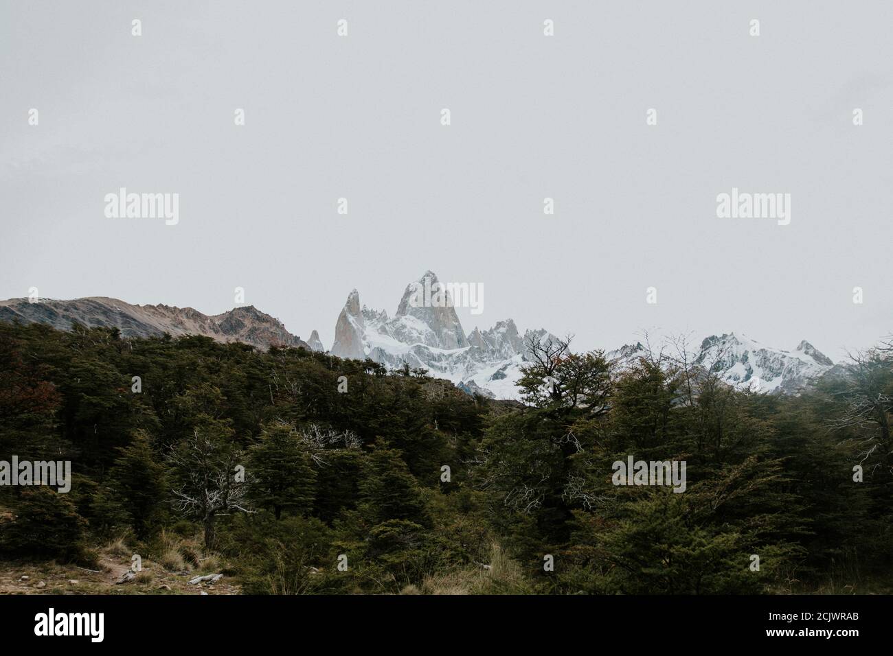 Blick auf El Chalten, Patagonien Argentinien Stockfoto