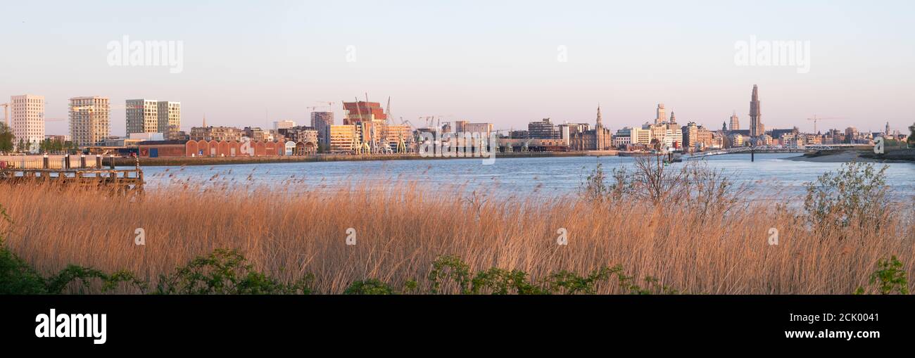 Panoramablick auf Antwerpen, Belgien Stockfoto