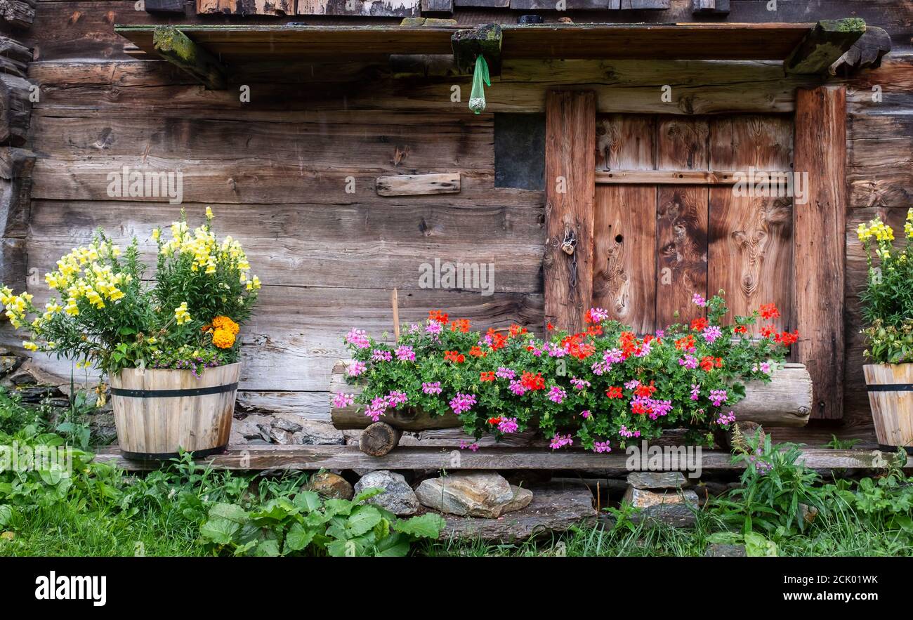 Alte Schweizer Holzhütte mit Pelargonium Blumen geschmückt Stockfotografie  - Alamy