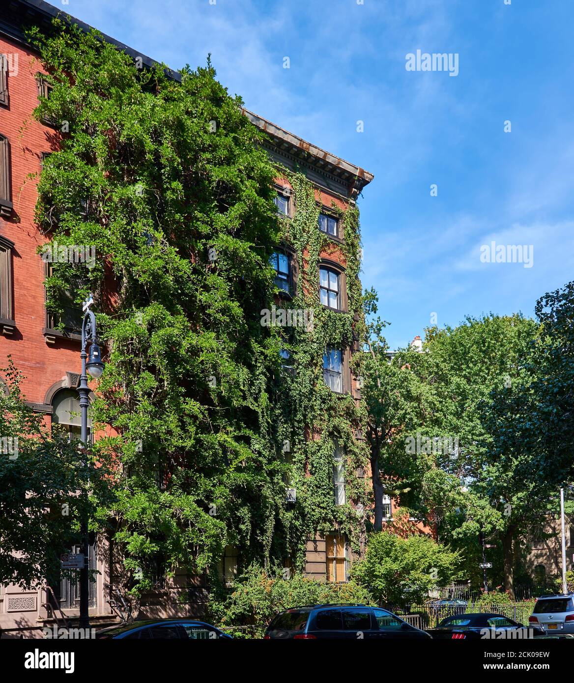 NEW YORK, NY - 7. SEPTEMBER 2020: Backsteinhaus im East Village von Manhattan, bedeckt von Glyzinien-Reben. Stockfoto