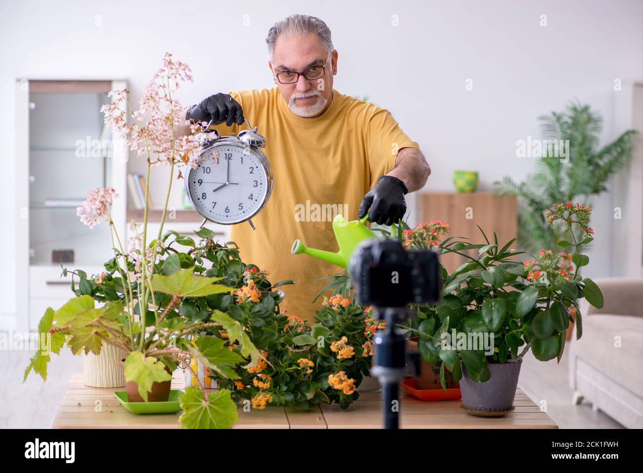 Alter männlicher Gärtner mit Pflanzen zu Hause Stockfoto