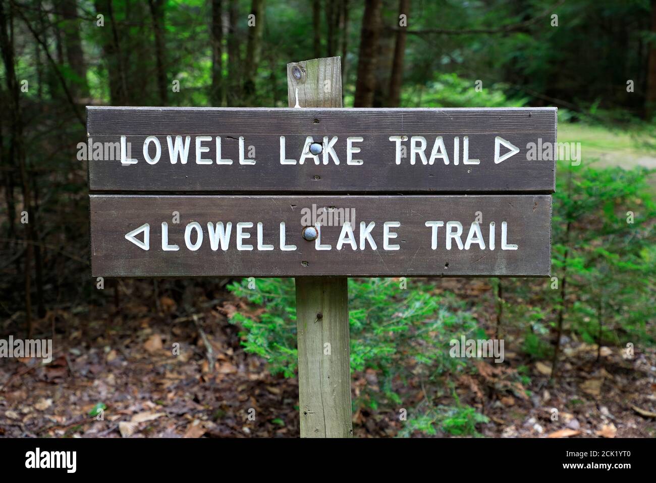 Hölzerne Wegweiser am Lowell Lake Trail.Lowell Lake State Park.Londonderry.Vermont Stockfoto