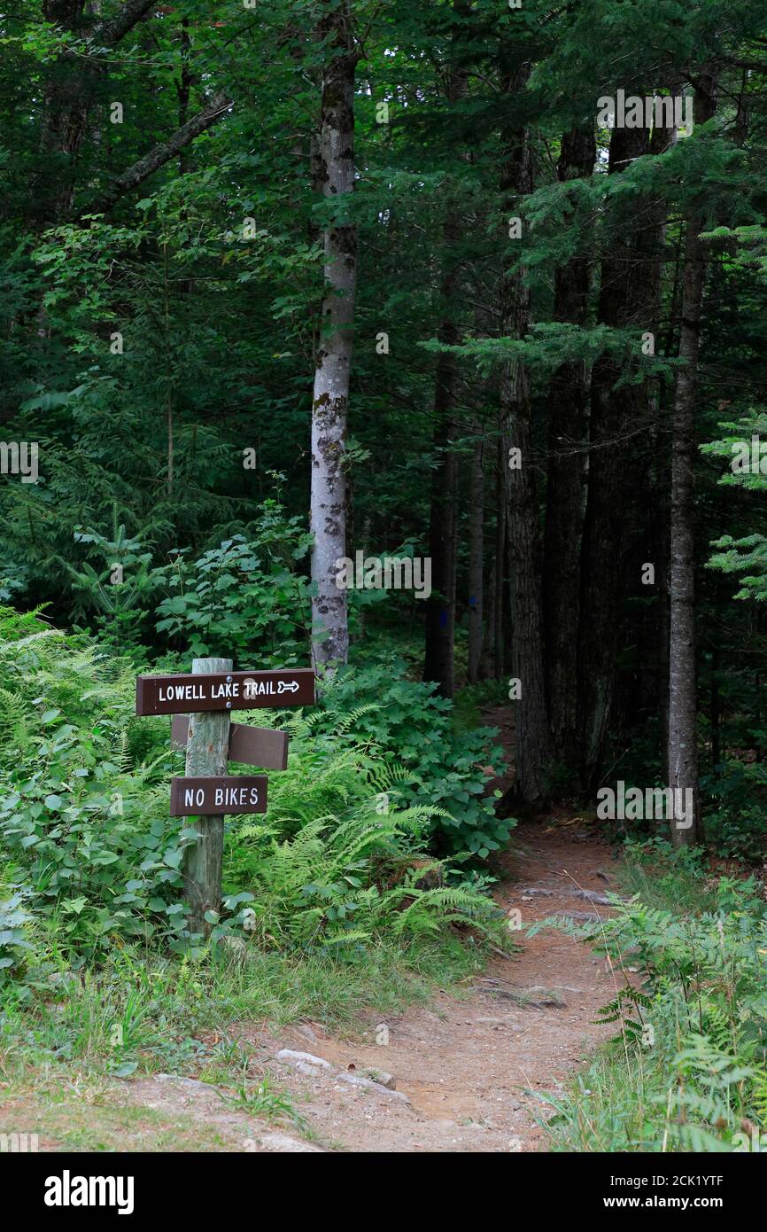 Hölzerne Wegweiser am Lowell Lake Trail.Lowell Lake State Park.Londonderry.Vermont Stockfoto