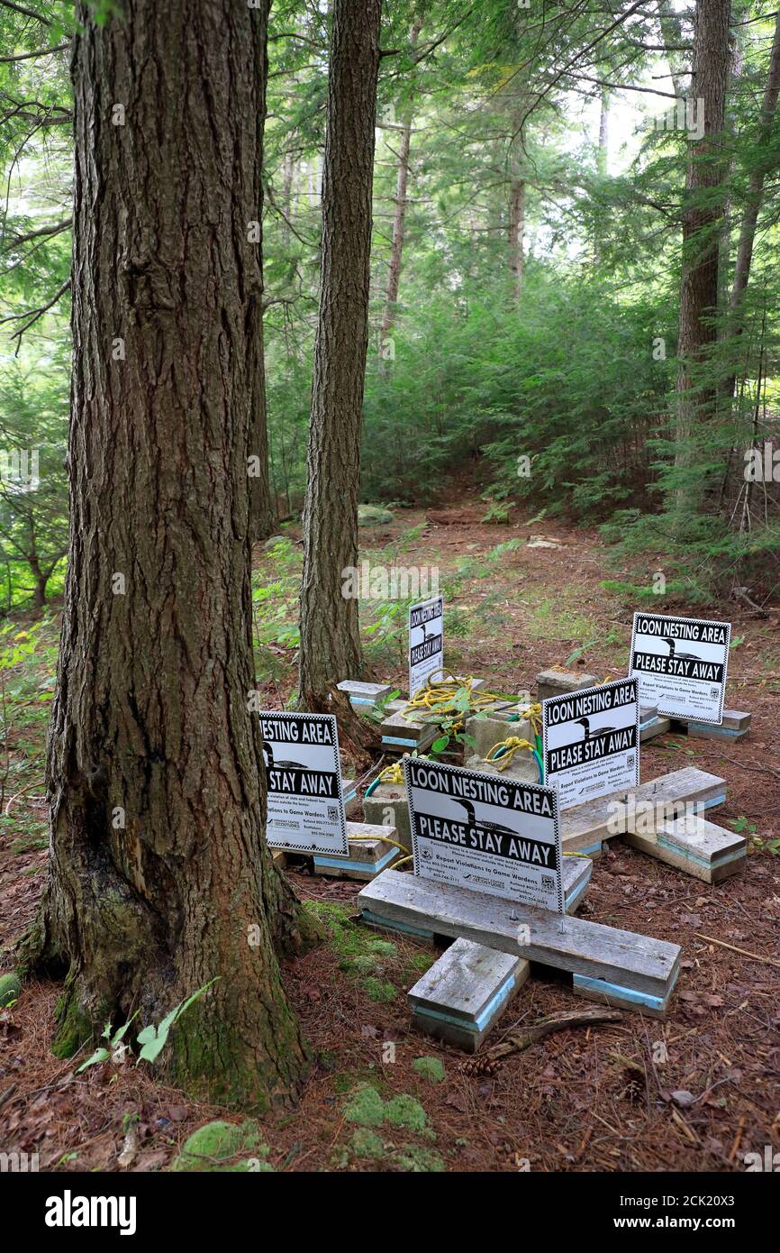 Geschütztes Seetaucher-Nistgebiet mit Warnschildern im Wald Von Lowell Lake State Park.Londonderry.Vermont.USA Stockfoto