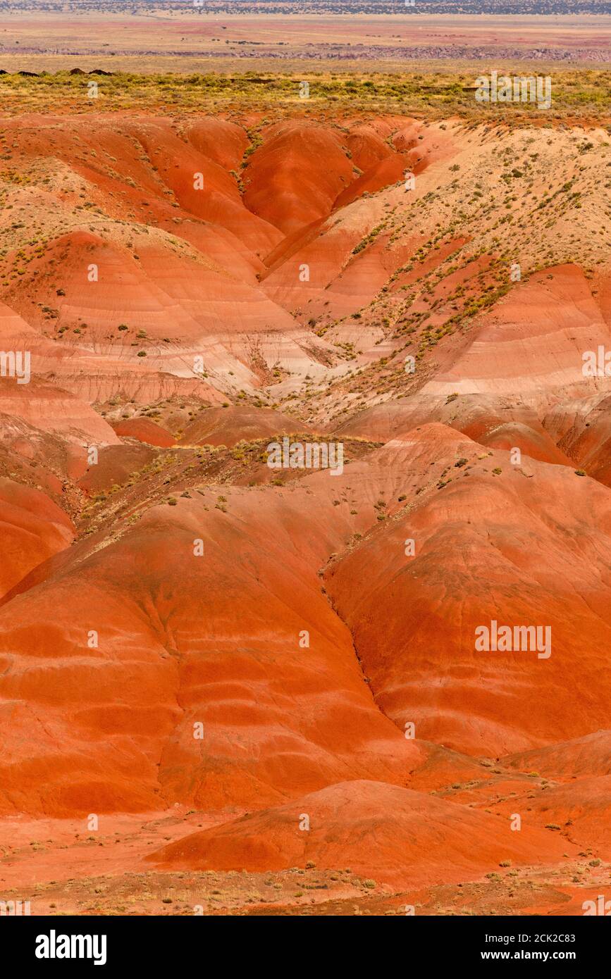 Der Petrified Forest National Park liegt im Nordosten von Arizona. Im Süden ist der Regenbogenwald voller farbenfroher versteinerten Hölzer. Stockfoto
