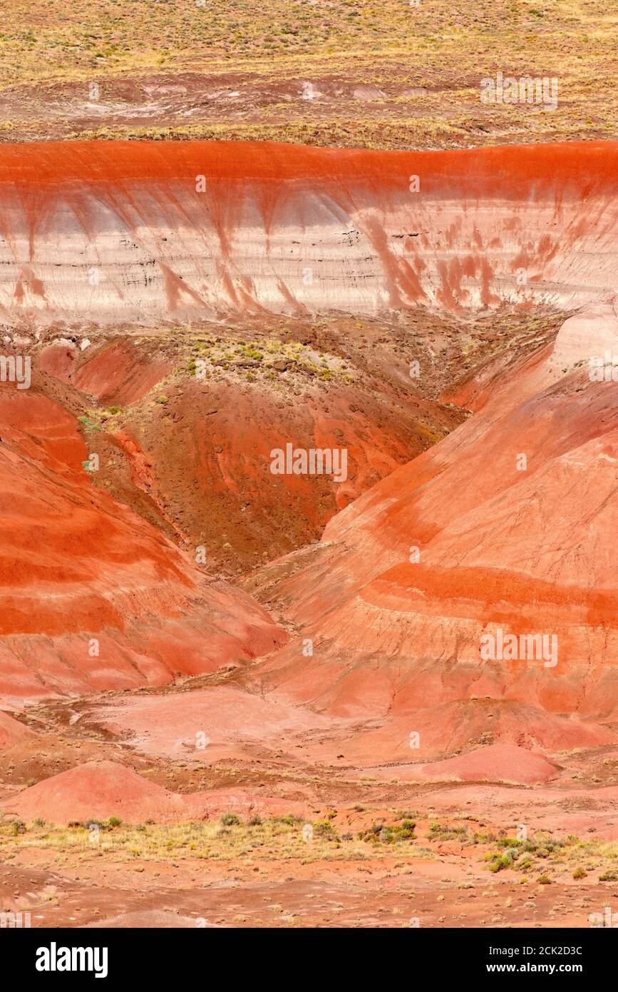 Der Petrified Forest National Park liegt im Nordosten von Arizona. Im Süden ist der Regenbogenwald voller farbenfroher versteinerten Hölzer. Stockfoto