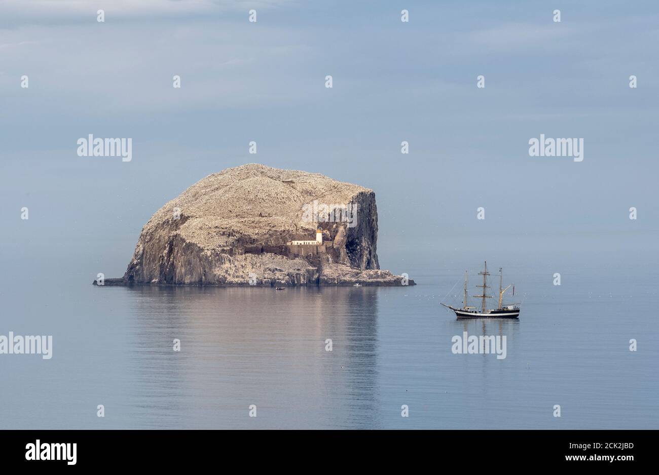 Pelican von London vor Anker in der Nähe des Bass Rock, East Lothian, Schottland, Großbritannien. Stockfoto