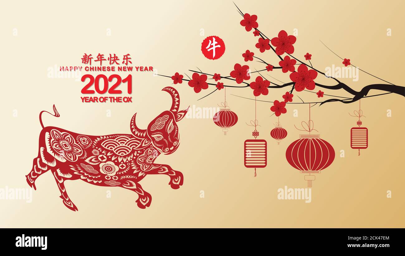 Chinesisches Neujahr 2021 Mit Bluten Tapeten Jahr Des Ochsen Chinesische Ubersetzung Happy Chinese New Year Jahr Des Ochsen Stock Vektorgrafik Alamy