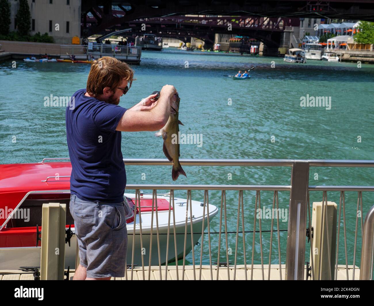 Mann Wiegung Kanal Wels er gefangen, wog der Fisch über fünf Pfund / 2,3kg. Chicago Riverwalk. Kanalwelse können bis zu 50lbs/23kg groß werden. Stockfoto