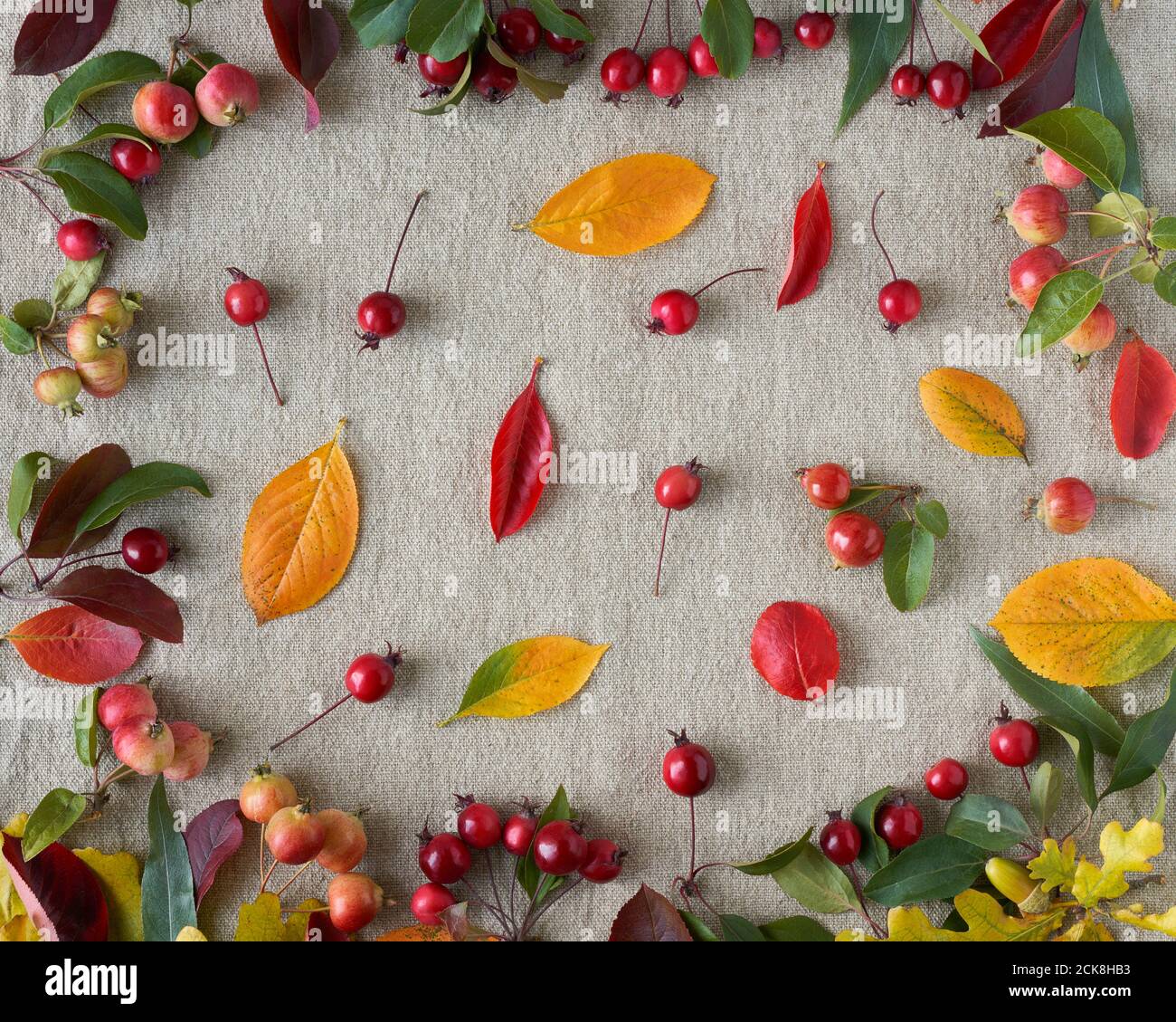Herbsthintergrund von Beeren, kleinen wilden Äpfeln, Eicheln und Blättern auf Leinentextilien Hintergrund. Muster aus natürlichen Elementen Stockfoto