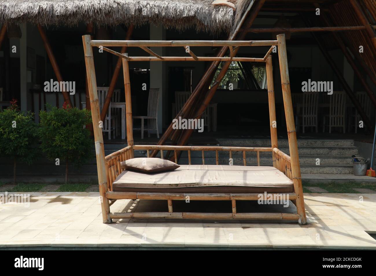 bambus shop 5x Bambus | 220cm | Online kaufen
