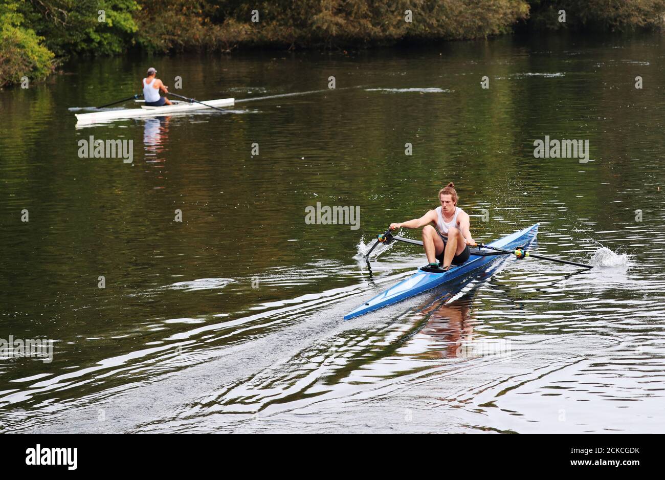 Ruderer fahren entlang der Themse in der Nähe von Maidenhead, Berkshire. Stockfoto