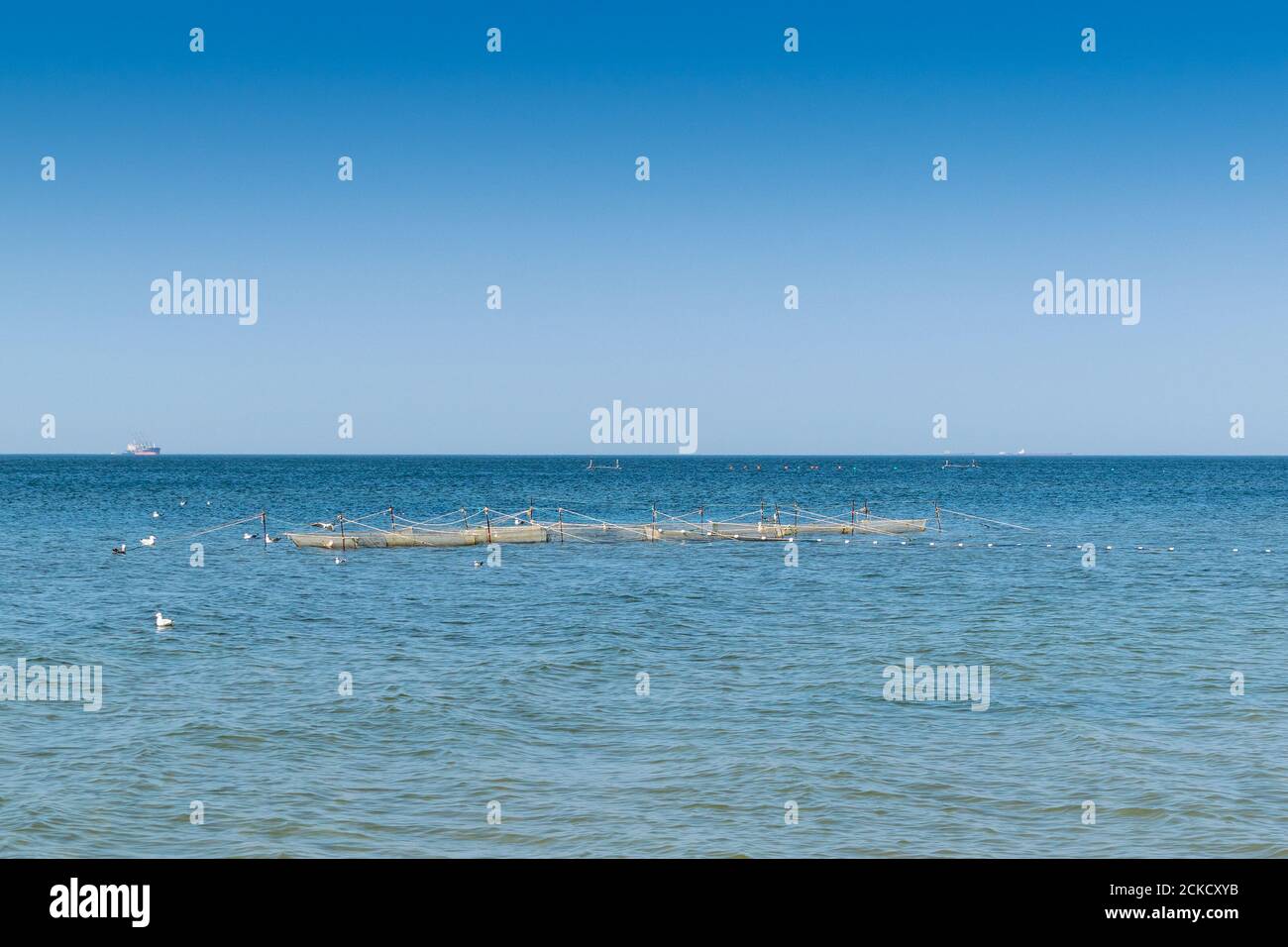 Oyster Farm am Meer auf einer ruhigen und sonnigen Sommertag Stockfoto