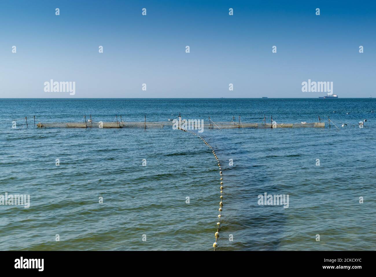 Oyster Farm am Meer auf einer ruhigen und sonnigen Sommertag Stockfoto