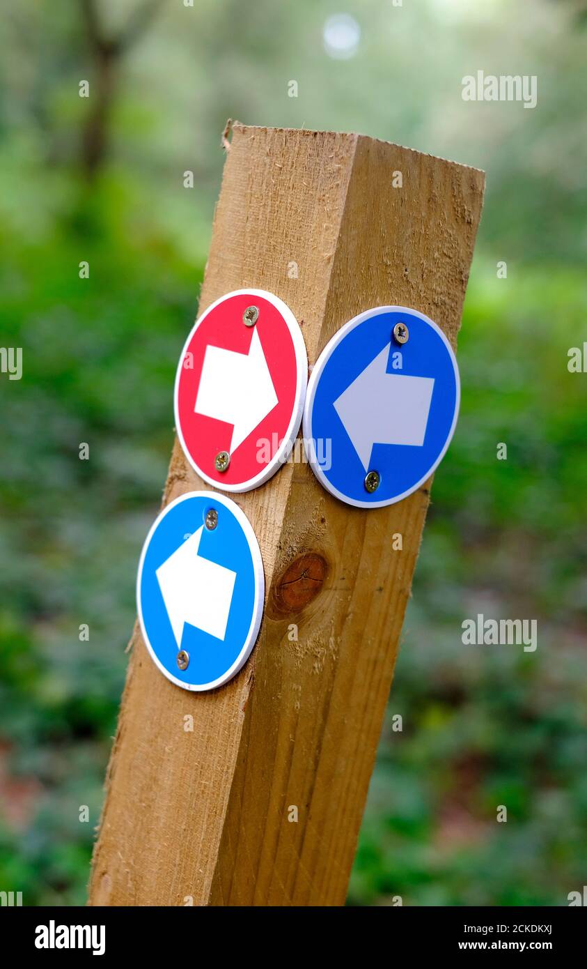 Rote und blaue kreisförmige Wanderweg Richtung Pfeile auf Holzpfosten Stockfoto