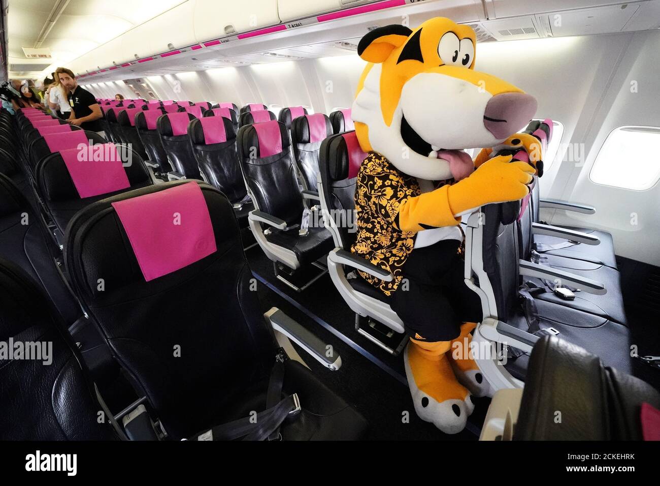 Hamilton Mascot Stockfotos Und Bilder Kaufen Alamy