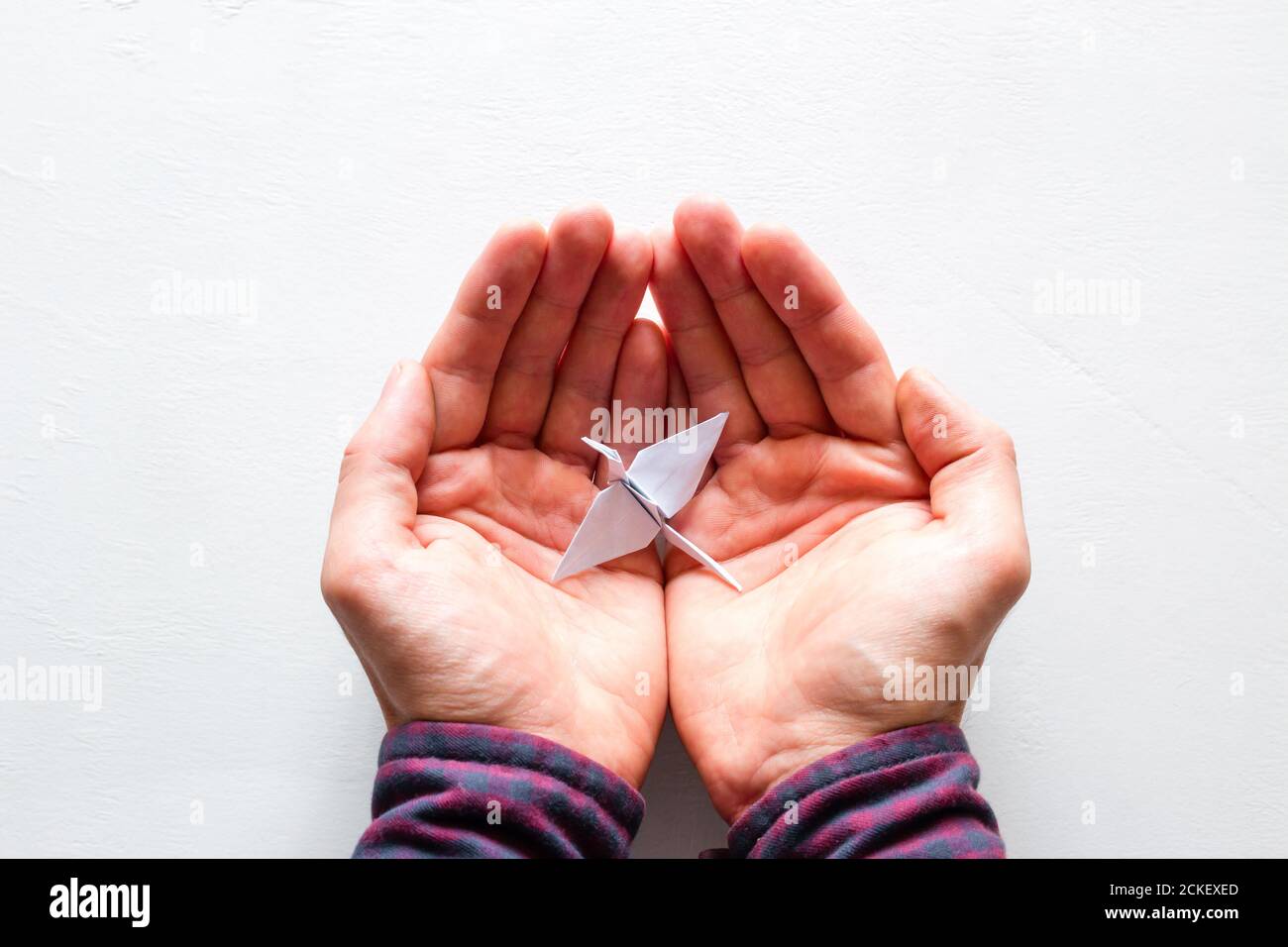Hält einen Kran auf weißem Hintergrund Stockfoto