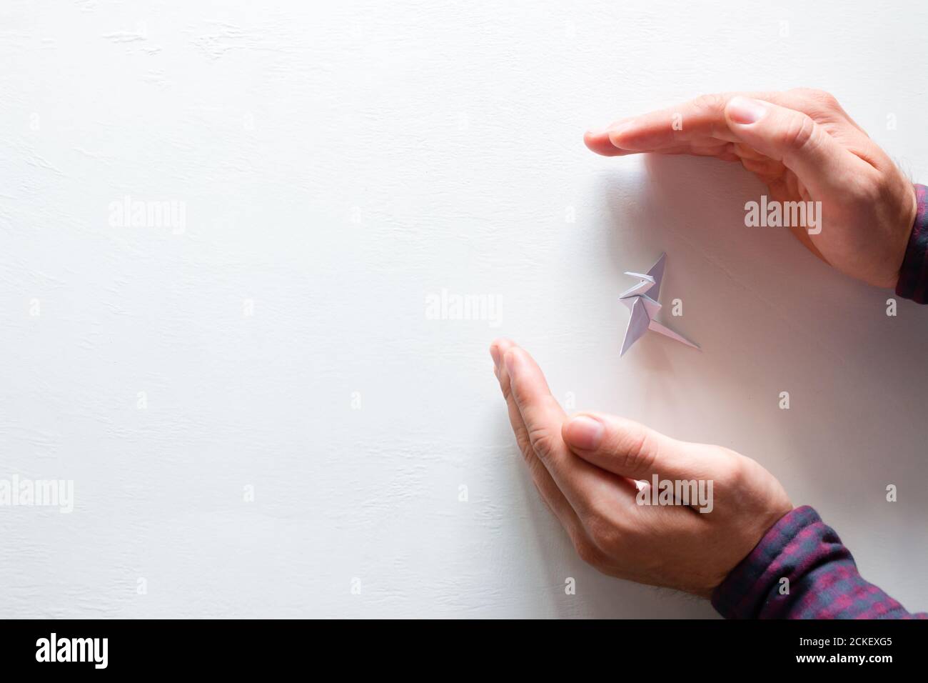 Schützt einen Kran auf weißem Hintergrund mit Platz für Text. World Day Kran Konzept Stockfoto