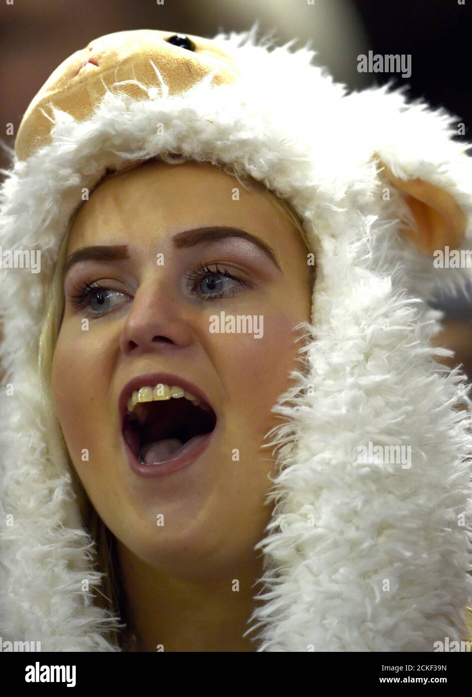 Rugby Union Autumn Internationals Wales Vs Georgia Principality Stadium Cardiff Grossbritannien 18 November 2017 Ein Walisischer Fan Der Als Schaf Gekleidet Ist Singt Die Nationalhymne Der Welsh Reuters Rebecca Naden Stockfotografie Alamy